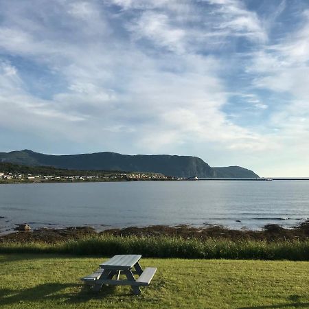 Wildflowers Country Inn Rocky Harbour Bagian luar foto
